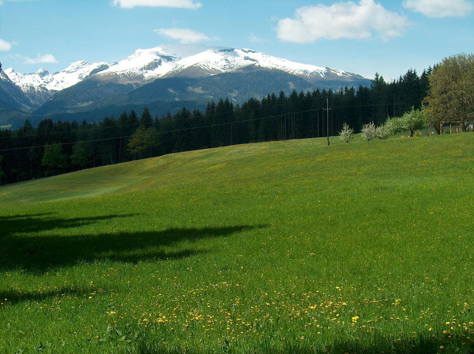 Hotel Landhof Simeter Gmbh Spittal an der Drau Dış mekan fotoğraf